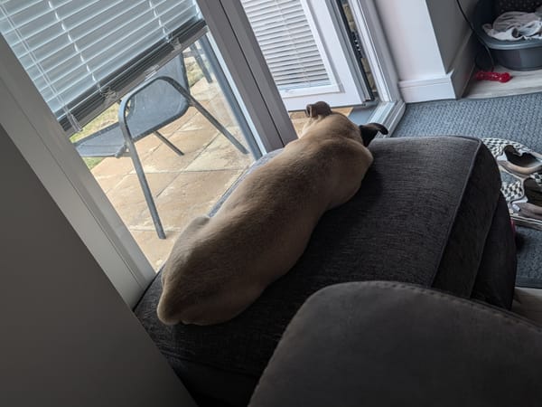 A small tan coloured dog laying down on a footstool next to a garden door. He is facing away and you can't see his face.